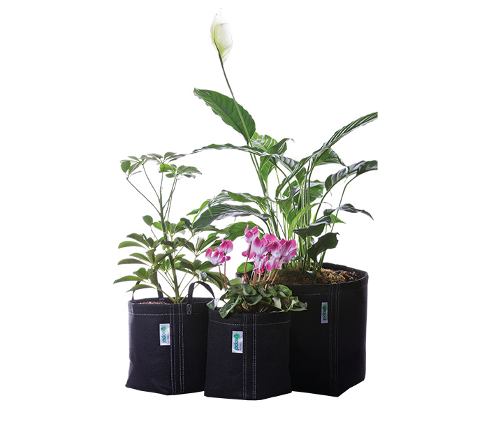 The GeoPot Garden Kit offers a collection of the most popular sizes and styles