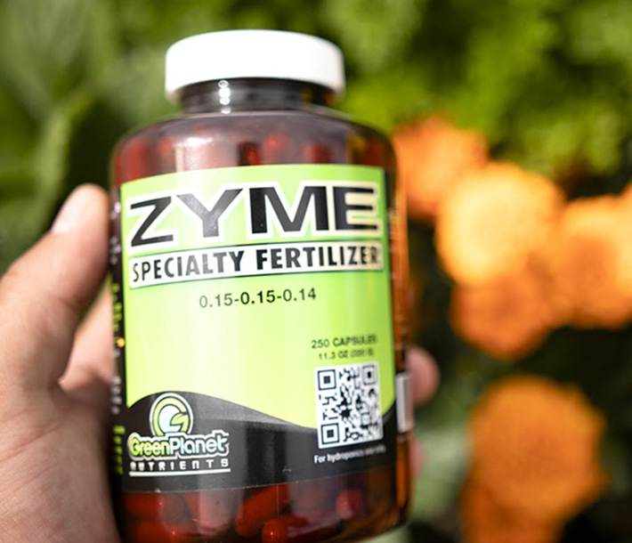 The 250-capsule bottle of Green Planet Nutrients – Zyme Caps, which blends 19 different enzyme