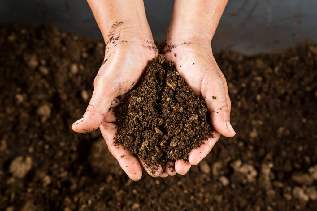 hands holding rich dirt