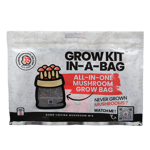 A windowed display package for the all-in-one grow kit with substrate and grain mixed together.